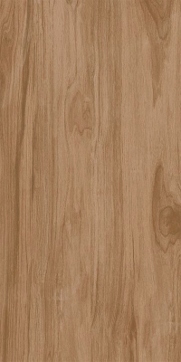 Гранитогрес Wood VZ - 60x120см