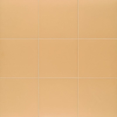 Гранитогрес Technical Tangerine 20x20
