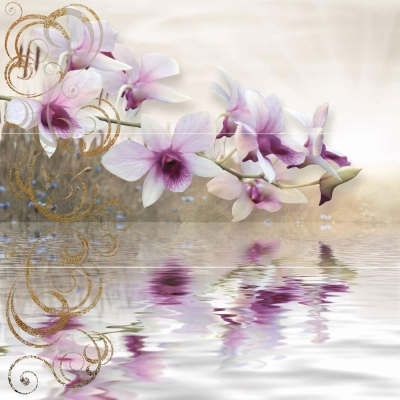 Colorgloss Orquidea - КОМПЛЕКТ ОТ 3 БРОЯ ПЛОЧКИ 75x75 см
