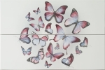 Colorgloss Butterflay - КОМПЛЕКТ ОТ 2 БРОЯ ПЛОЧКИ 50x75 см